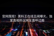 官网围观！黑料王在线丑闻曝光，独家真相热议网友直呼过瘾