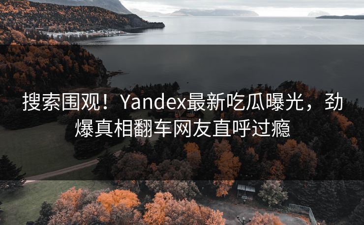 搜索围观！Yandex最新吃瓜曝光，劲爆真相翻车网友直呼过瘾