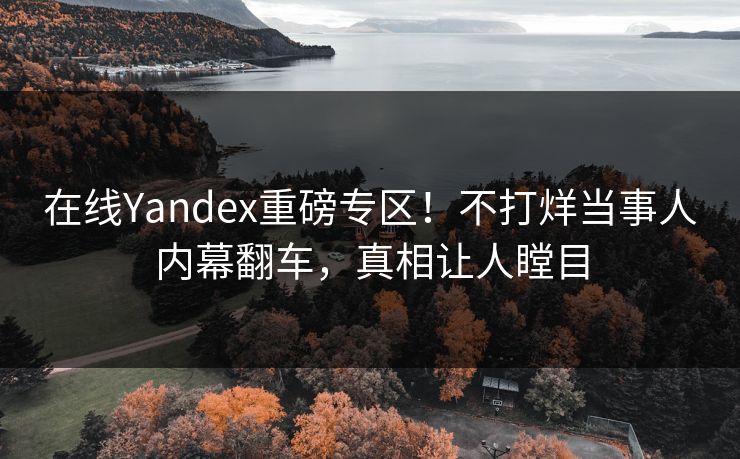 在线Yandex重磅专区！不打烊当事人内幕翻车，真相让人瞠目