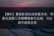 【爆料】蘑菇影视在线观看突发：明星在凌晨三点被曝曾参与丑闻，沉沦其中席卷全网