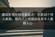 蘑菇影视在线观看盘点：花絮10个惊人真相，圈内人上榜理由极其令人震撼人心