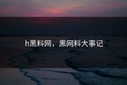 h黑料网，黑网料大事记