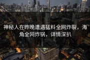 神秘人在昨晚遭遇猛料全网炸裂，海角全网炸锅，详情深扒