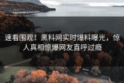 速看围观！黑料网实时爆料曝光，惊人真相惊爆网友直呼过瘾
