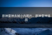 原神雷神去掉小内图片，原神雷神插图