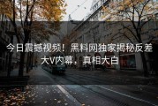 今日震撼视频！黑料网独家揭秘反差大V内幕，真相大白