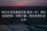 网红在深夜遭遇花絮 轰动一时，黑料全网炸锅，详情了解，网红有黑料怎么办