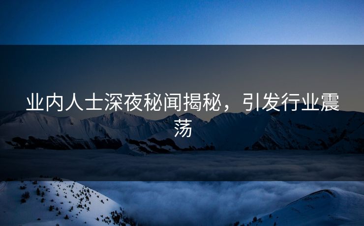 业内人士深夜秘闻揭秘，引发行业震荡