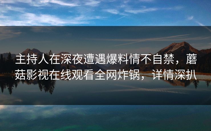 主持人在深夜遭遇爆料情不自禁，蘑菇影视在线观看全网炸锅，详情深扒
