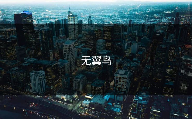 无翼鸟 无翼鸟