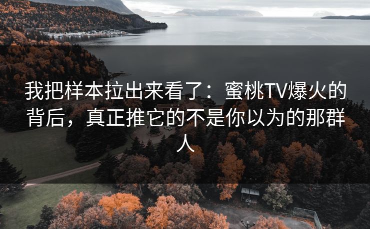 我把样本拉出来看了：蜜桃TV爆火的背后，真正推它的不是你以为的那群人