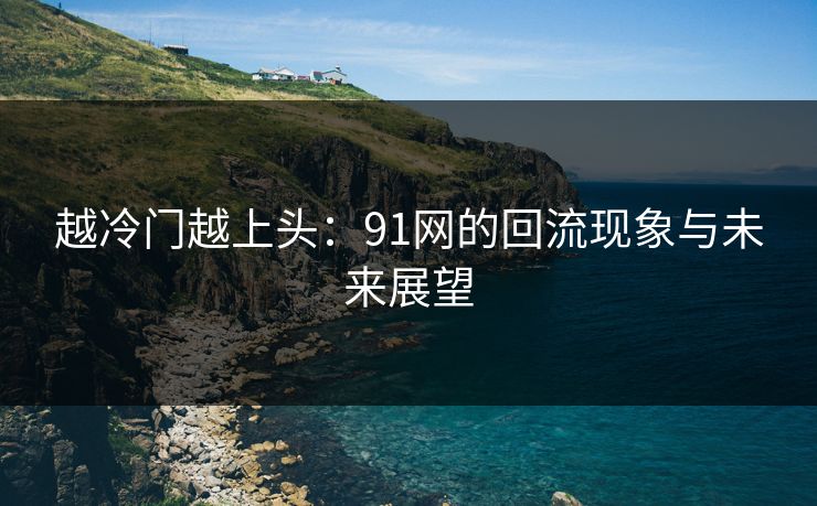 越冷门越上头：91网的回流现象与未来展望